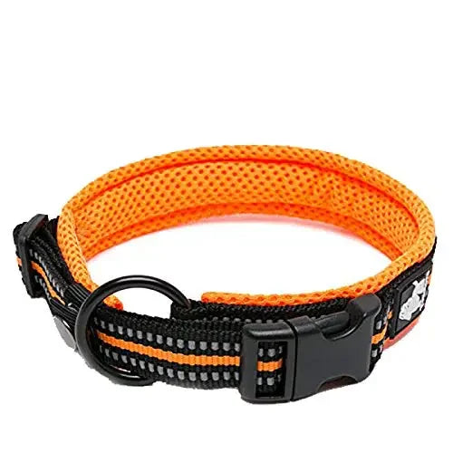 TrueLove Adjustable Padded Nylon Pet Collar With Reflective Strap