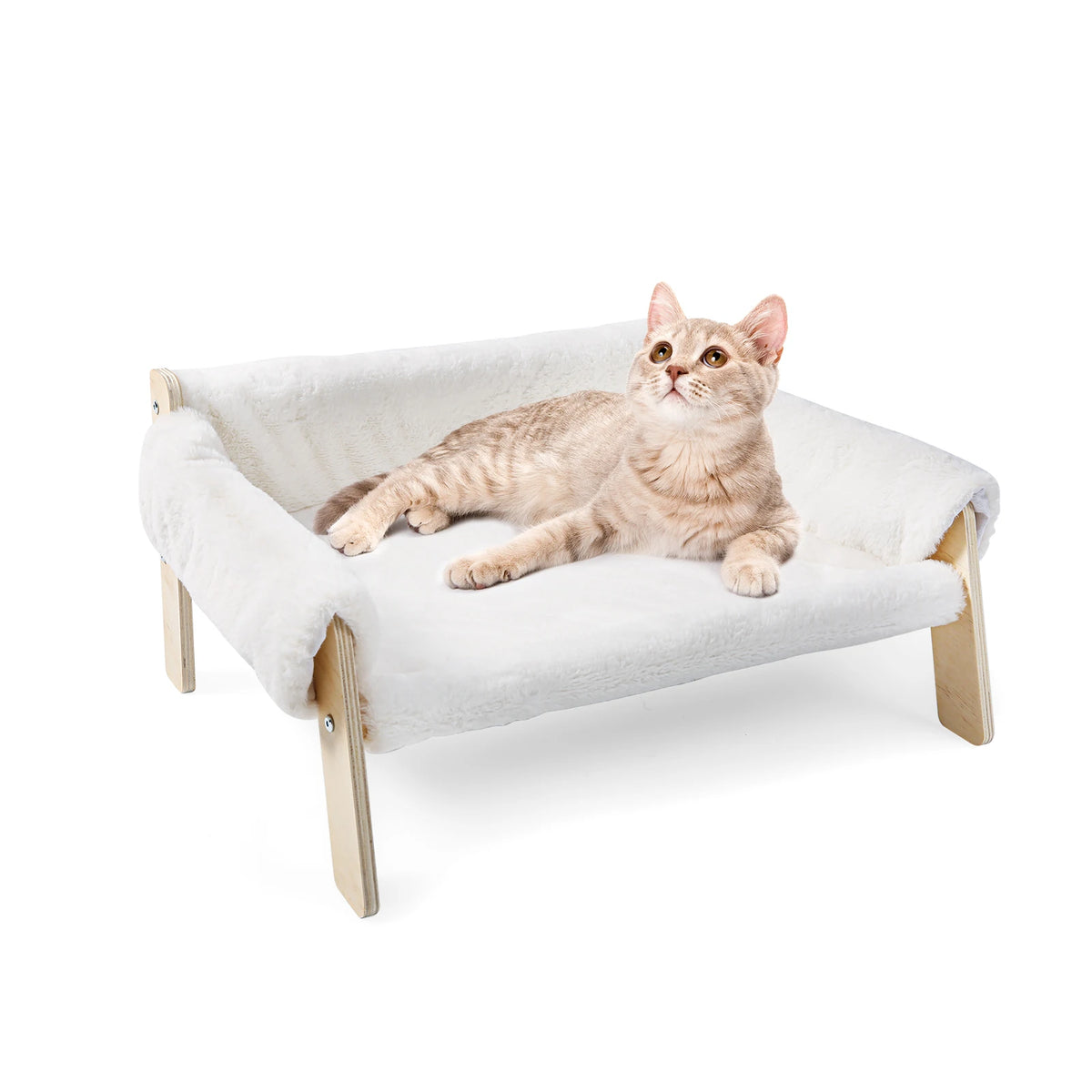 Raised Plush Cat Sofa With Sturdy Wooden Legs For Cats