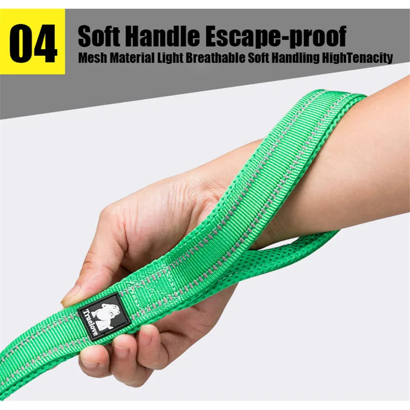 Truelove Padded Reflective Nylon Dog Walking Leash With Quick Release