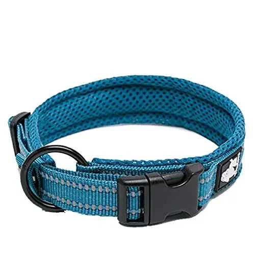 TrueLove Adjustable Padded Nylon Pet Collar With Reflective Strap
