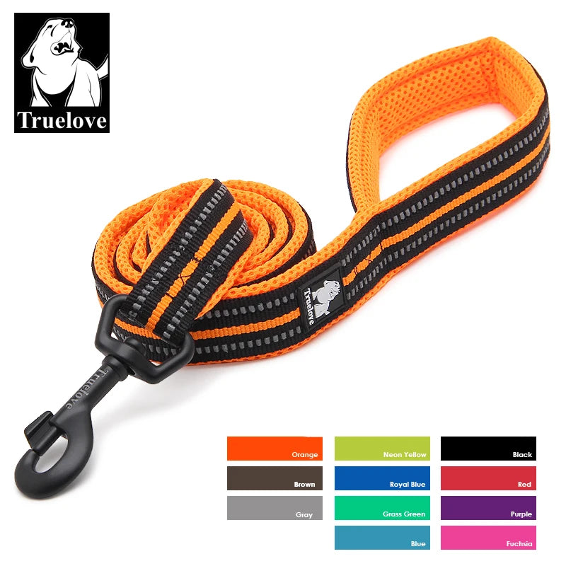 Truelove Padded Reflective Nylon Dog Walking Leash With Quick Release