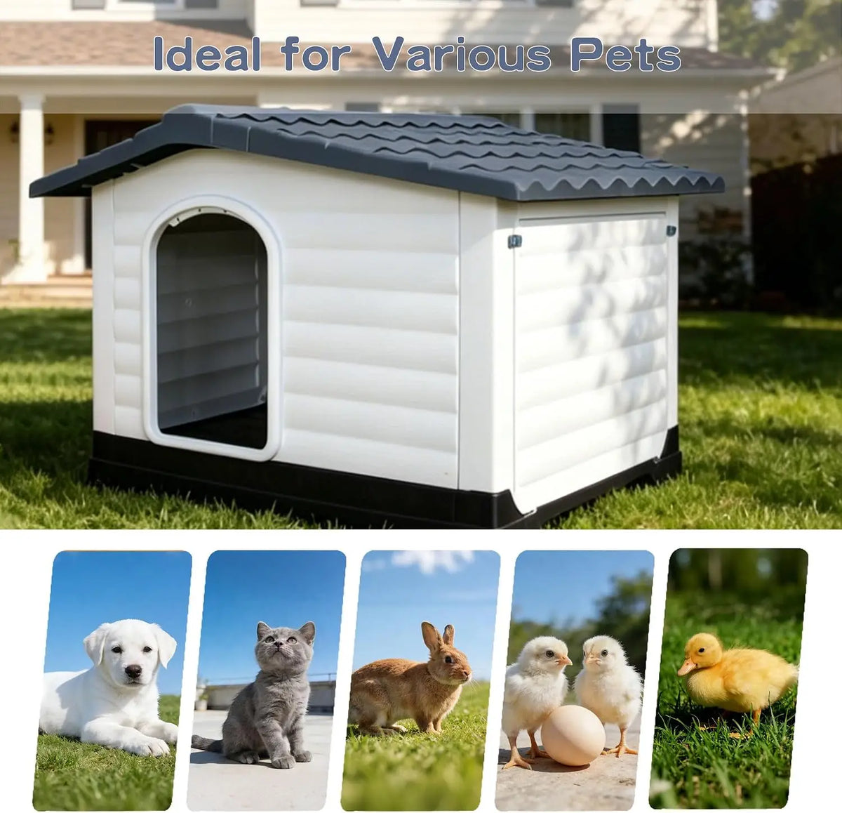 TWISTER CK Waterproof Two Door Dog House With Foldout Porch