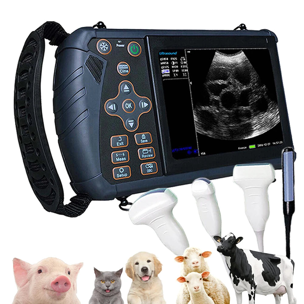 Dawei Portable Veterinary Ultrasound Scanner For Livestock