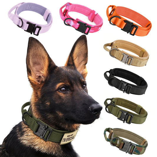 Petravel Adjustable Tactical Nylon Dog Collar Quick Release Buckle