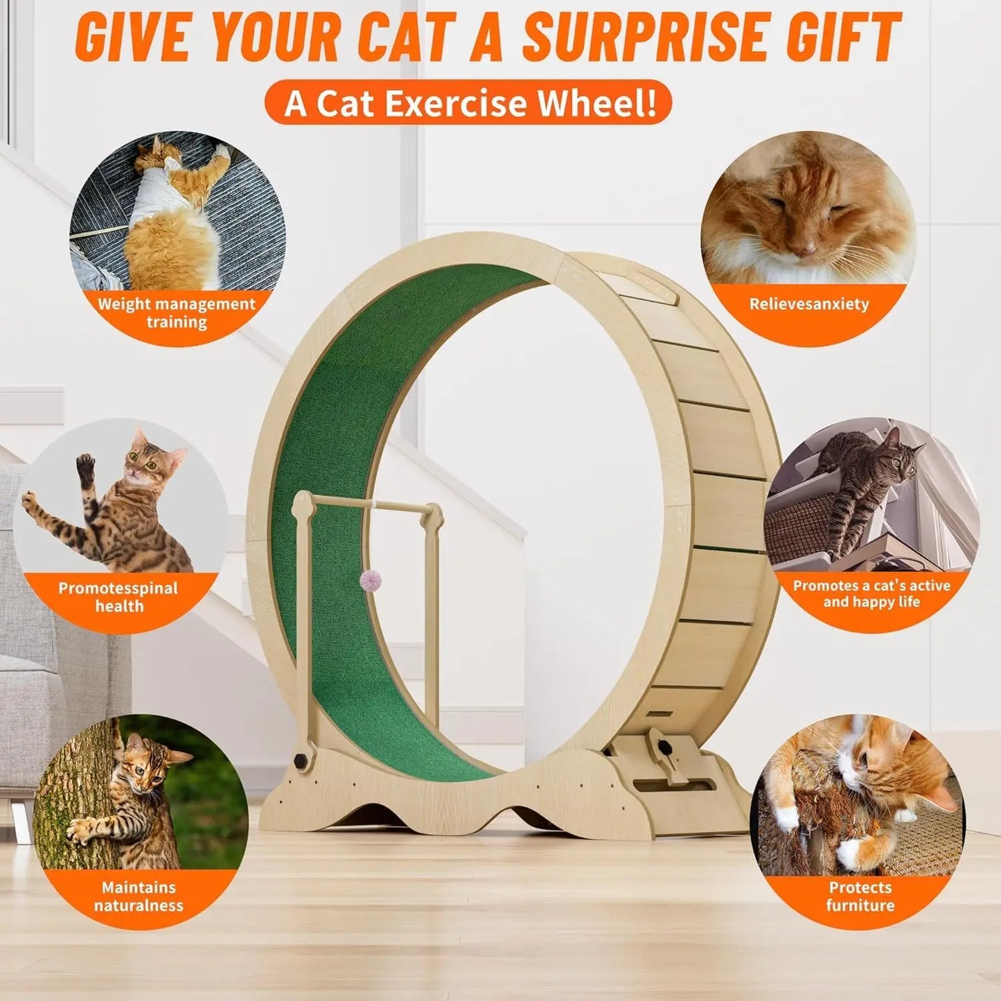 Studyset Indoor Cat Exercise Wheel Quiet Carpet Runway Teaser