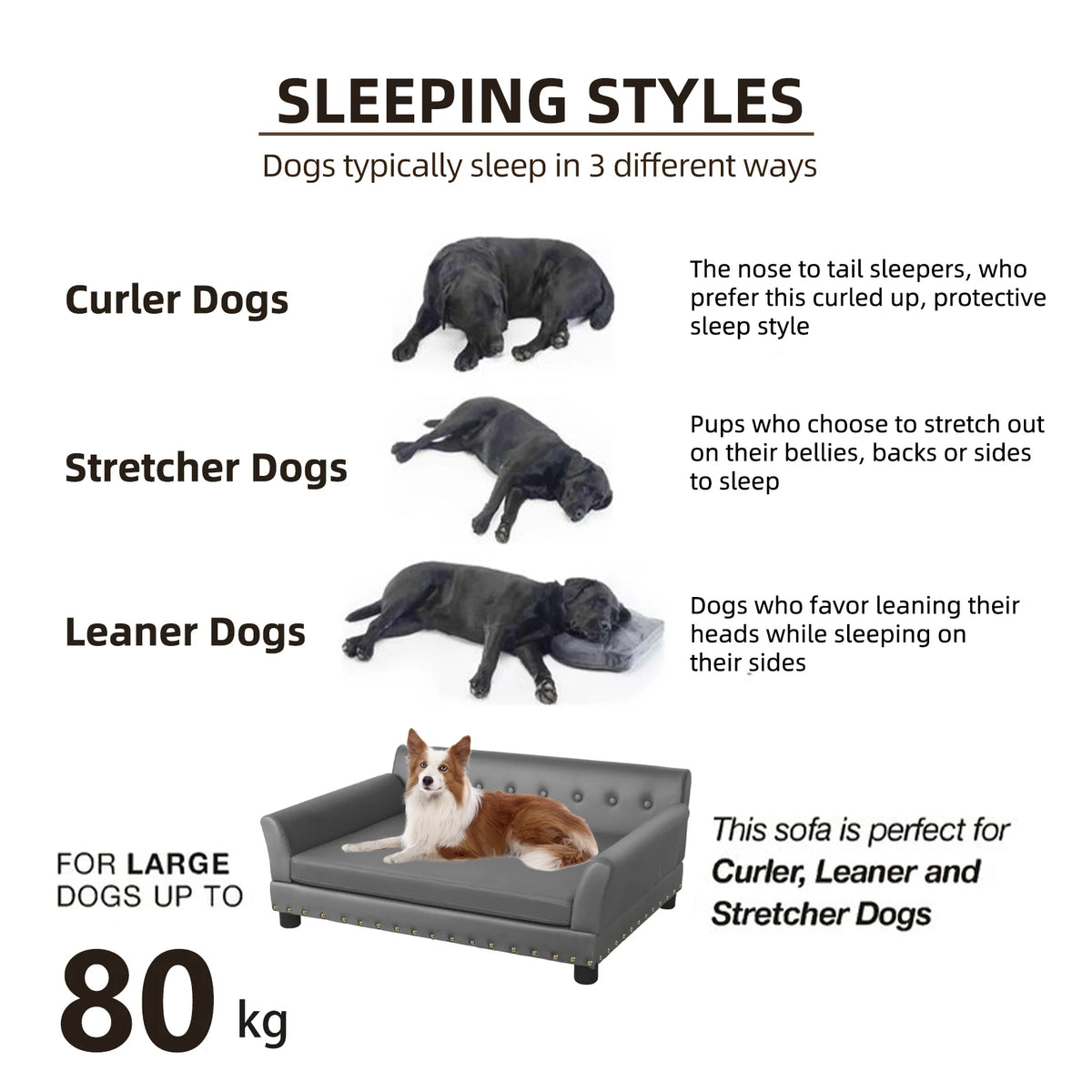 Bingopaw Waterproof Dog Sofa With Removable Microfiber Cushion
