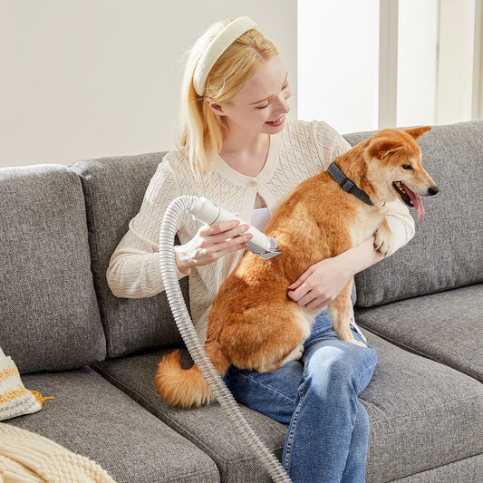 Sweetcrispy Low Noise Pet Grooming Vacuum For Dogs And Cats