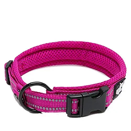 TrueLove Adjustable Padded Nylon Pet Collar With Reflective Strap