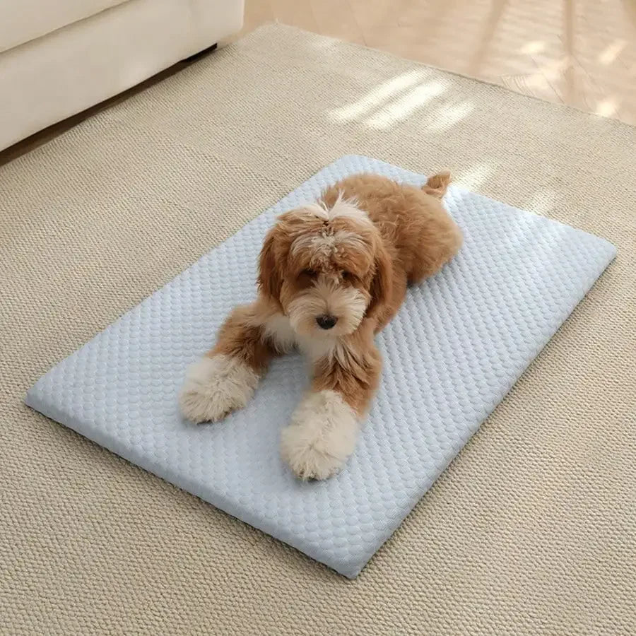 Cooling Cotton Cat Bed With Thick Padding And Breathable Design