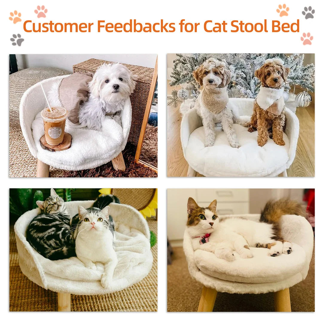 Bingopaw Plush Waterproof Cat Bed With Wood Frame And Cushion