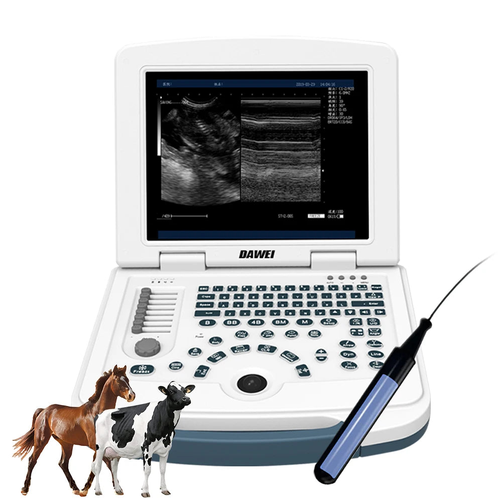 Dawei 3.5MHz Vet Portable Ultrasound Scanner for Dog Cat Pregnancy