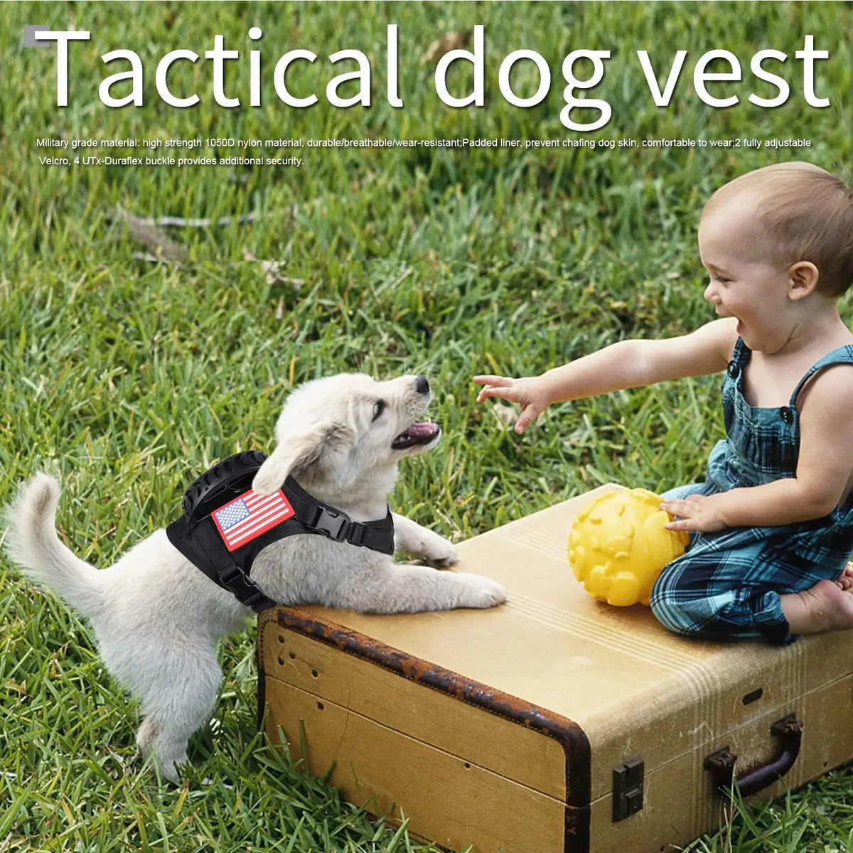 Adjustable Tactical Nylon Harness Leash Set For Small Pets