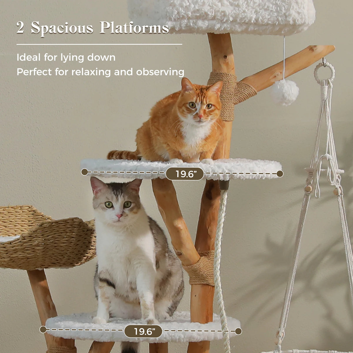 Modern Cat Tree with Solid Wood Scratching Posts Swing Hammock Large Cat Condo Wood Tall Cat Tower for Indoor with 2 Woven Basket Boho Luxury Pet Furniture Cat Toys