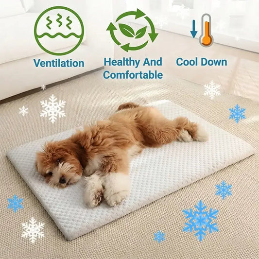 Cooling Cotton Cat Bed With Thick Padding And Breathable Design
