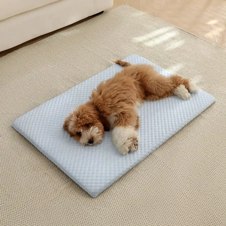 Cooling Cotton Cat Bed With Thick Padding And Breathable Design