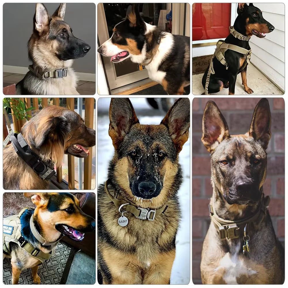 Petravel Adjustable Tactical Nylon Dog Collar Quick Release Buckle