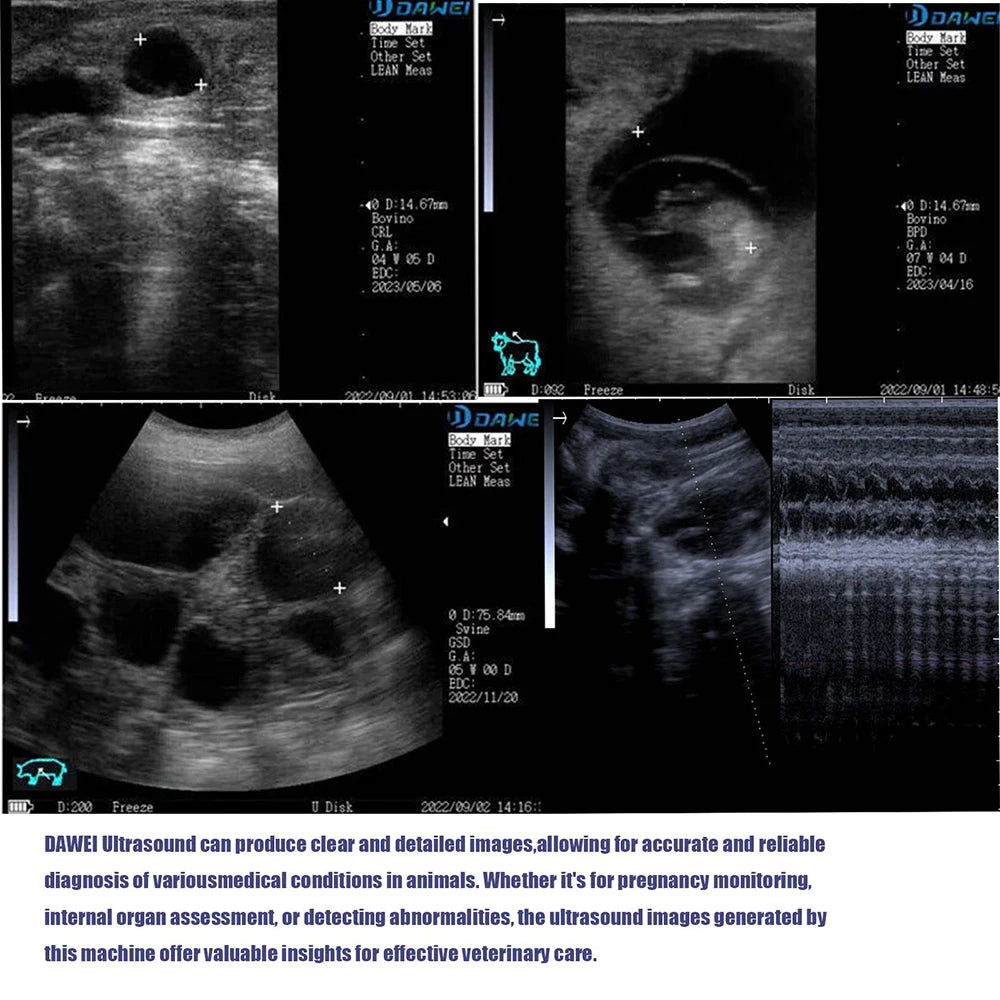 Dawei Portable Veterinary Ultrasound Scanner For Livestock