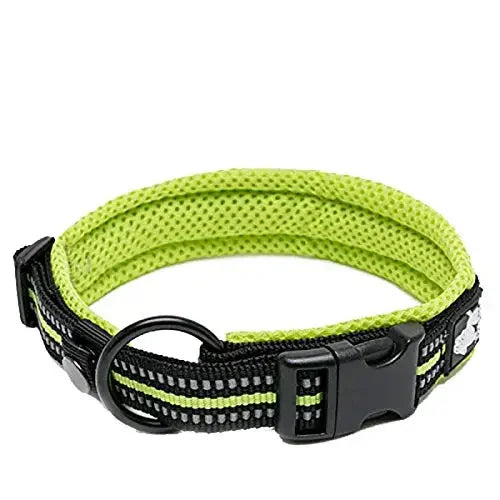 TrueLove Adjustable Padded Nylon Pet Collar With Reflective Strap