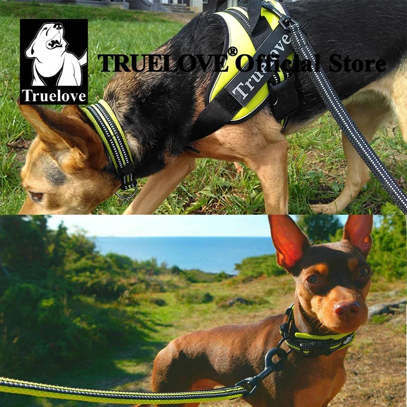 TrueLove Adjustable Padded Nylon Pet Collar With Reflective Strap