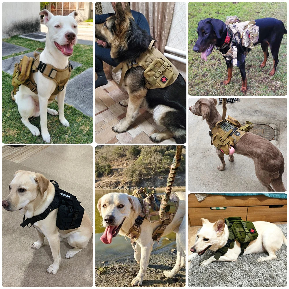 Petravel Tactical Dog Harness Leash Set For Large Dogs
