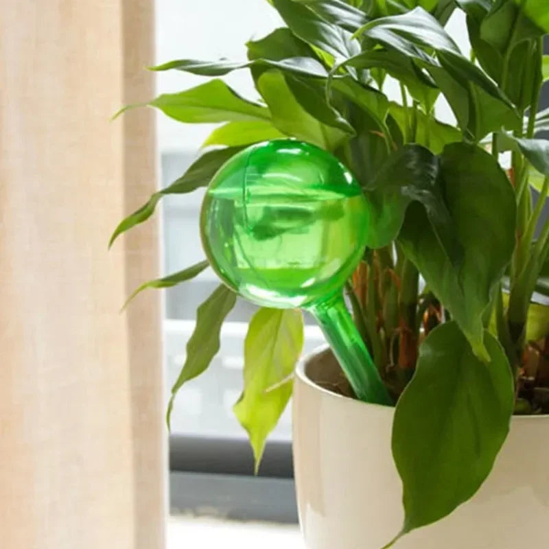 10PCS Clear Plant Watering Globes Automatic Drip Irrigation System Garden Indoor Outdoor Plant Watering Balls Devices Supplies