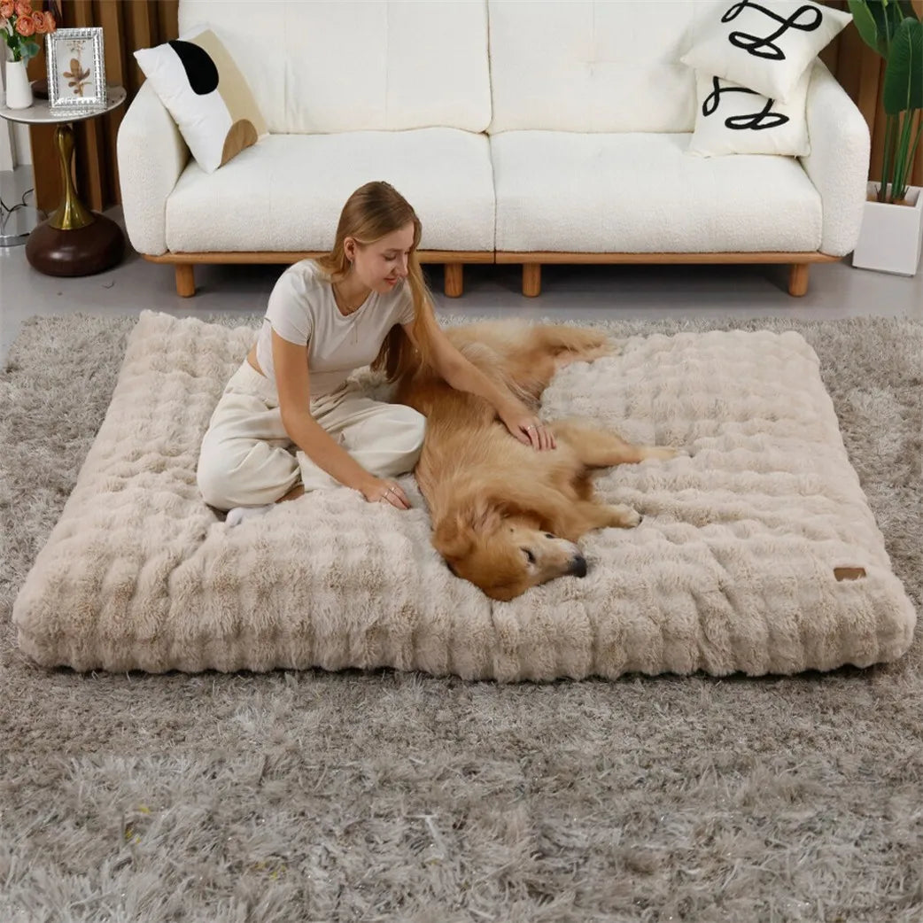 Borwart Ultra Plush Washable Dog Bed With Removable Cover
