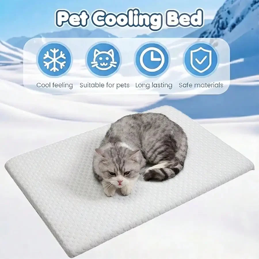 Cooling Cotton Cat Bed With Thick Padding And Breathable Design