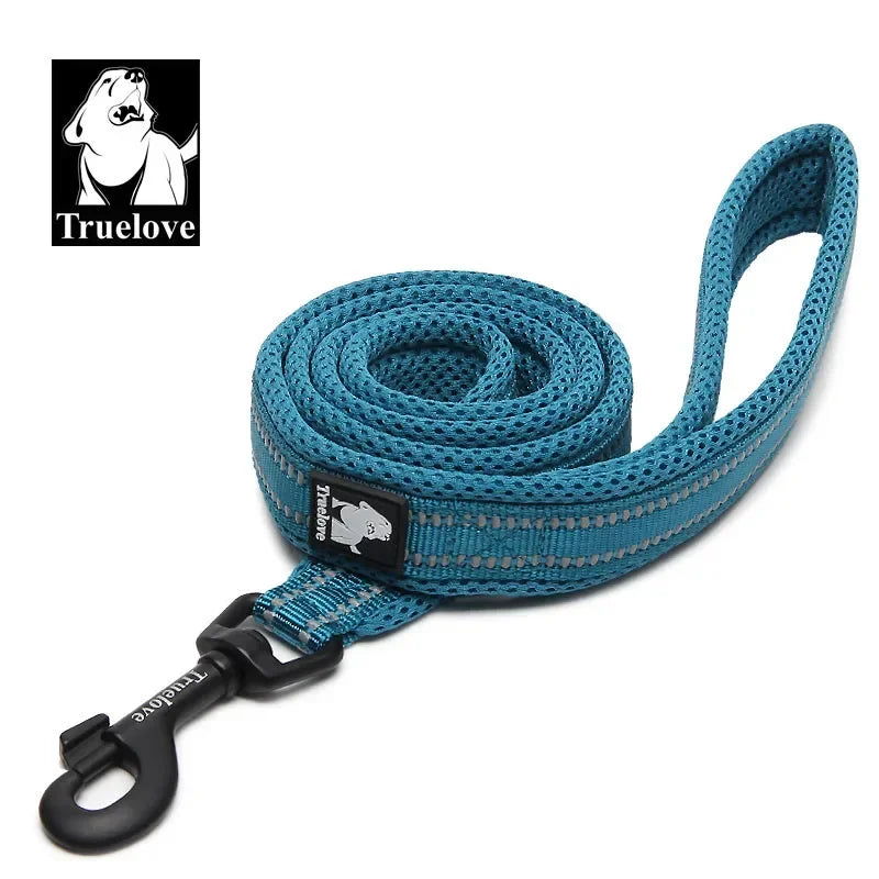 Truelove Padded Reflective Nylon Dog Walking Leash With Quick Release