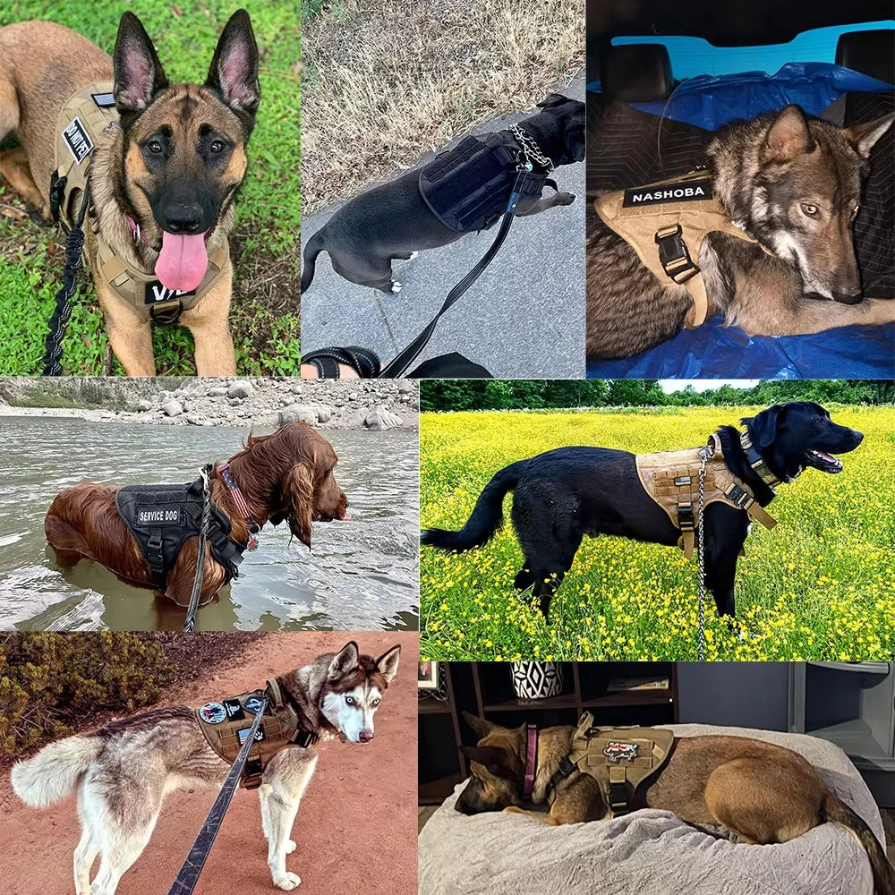 Adjustable Tactical Dog Training Harness Nylon Leash And Collar