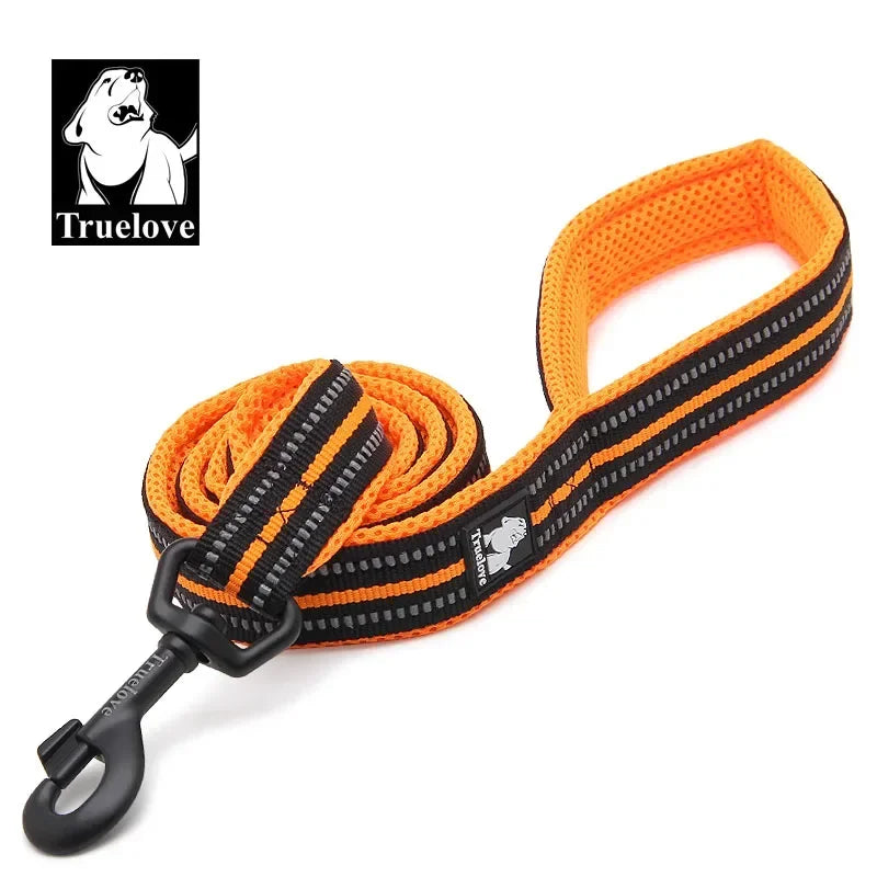 Truelove Padded Reflective Nylon Dog Walking Leash With Quick Release